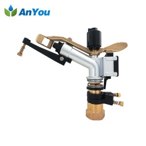 New Delivery for Irrigation Kit - Irrigation Rain Gun with 1 Inch Connection – Anyou