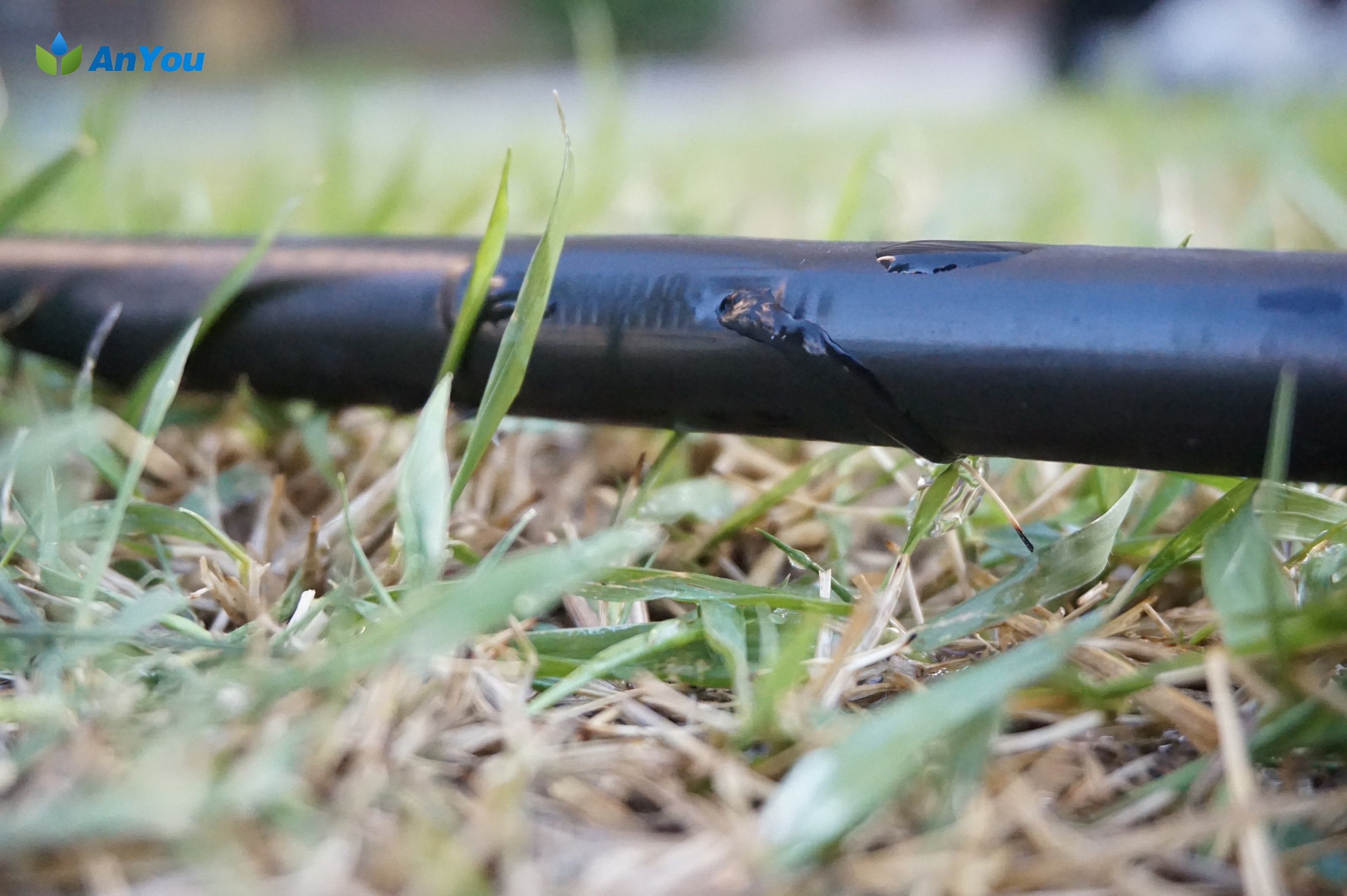 Causes and solutions of plugging of drip irrigation