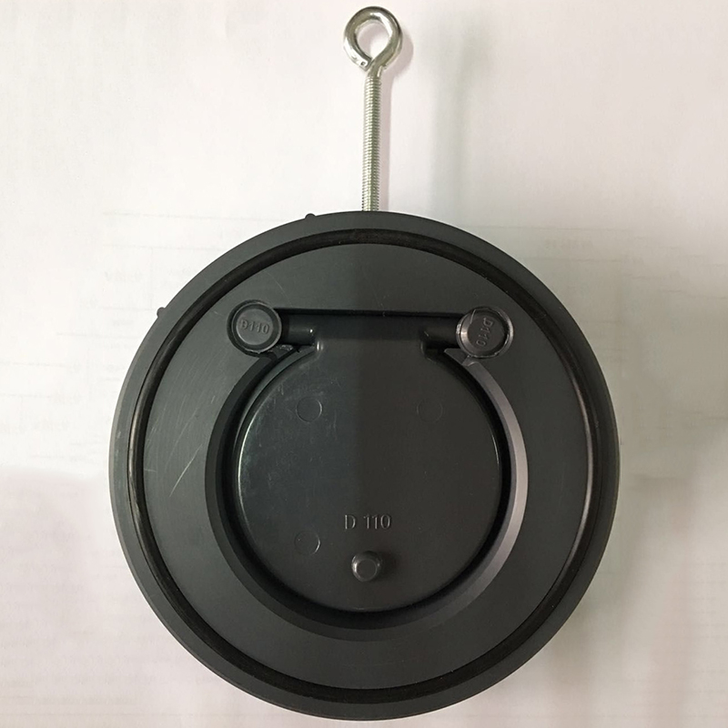 free sample manufacturer big sale pvc plastic wafer check valve without return spring for vertical pipes Featured Image