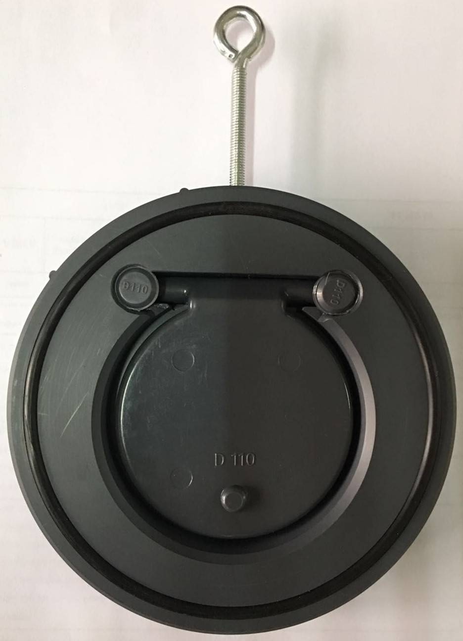 free sample manufacturer big sale pvc plastic wafer check valve without return spring for vertical pipes Featured Image