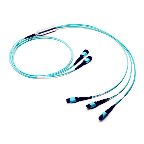 Online Exporter Plastic Patchcords - MTPMPO-Trunk-sm-cable – INTCERA