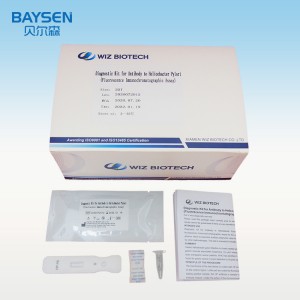 Hot sale Factory China Helicobacter Pylori Antigen Testing Kit H. Pylori AG Rapid Diagnostic Test Cassette