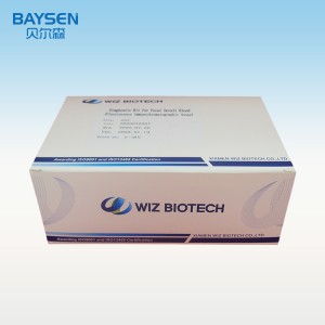Manufacturing Companies for Biobase China Rapid Test Antigen Test Kit Rapid Diagnostic Test Kit