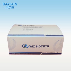 High Quality for China Antigen Rapid Detection Test Kit with CE ISO13485 ISO9001 High Sensitive Accuracy Good Manufacturer OEM Diagnostic Test Kit Individual Reagent Sterile Swab