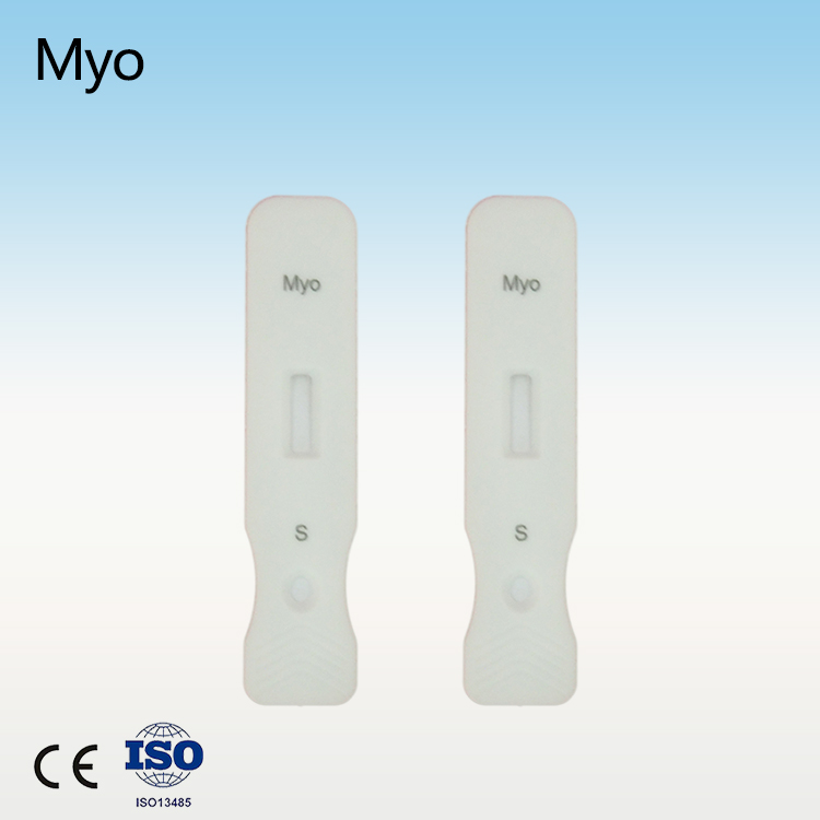 Myo rapid test kit