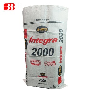 Hot Selling for Pp Woven Flour Bag - PP Printed Bag – Ben Ben