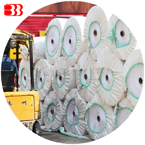 Professional Design Empty 50 Kg Rice Bags - Customized China PP Woven Fabric in Roll – Ben Ben