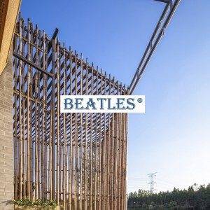 Stainless steel bamboo canes for shopping mall facade