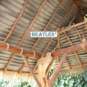 Professional China  Synthetic Coconut Thatch Roof for Tropical Umbrella Cover – Chinese Artificial Bamboo Plant Poles