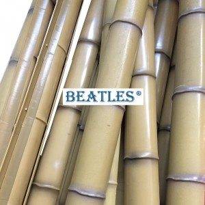 Factory Cheap Plastic bamboo pipe stakes for aquarium – China Manufacturer