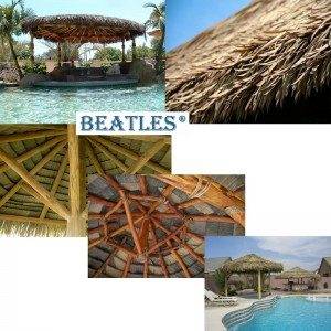 High Quality for Competitive thatch roofs prices Wholesale to Philippines