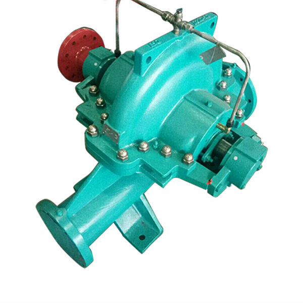 OEM China Sala Pump - BD series Double Suction Split Casing pumps – Beken detail pictures