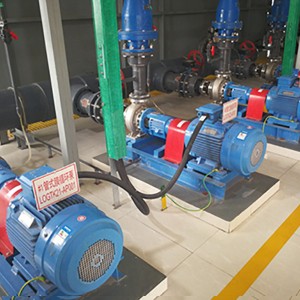 BNS-2 series Single Stage, End Suction Norm Centrifugal pumps