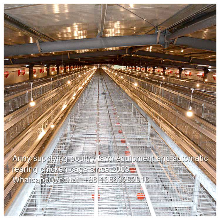 EFFICIENCY OF BROILER CAGE IN POULTRY FARMING