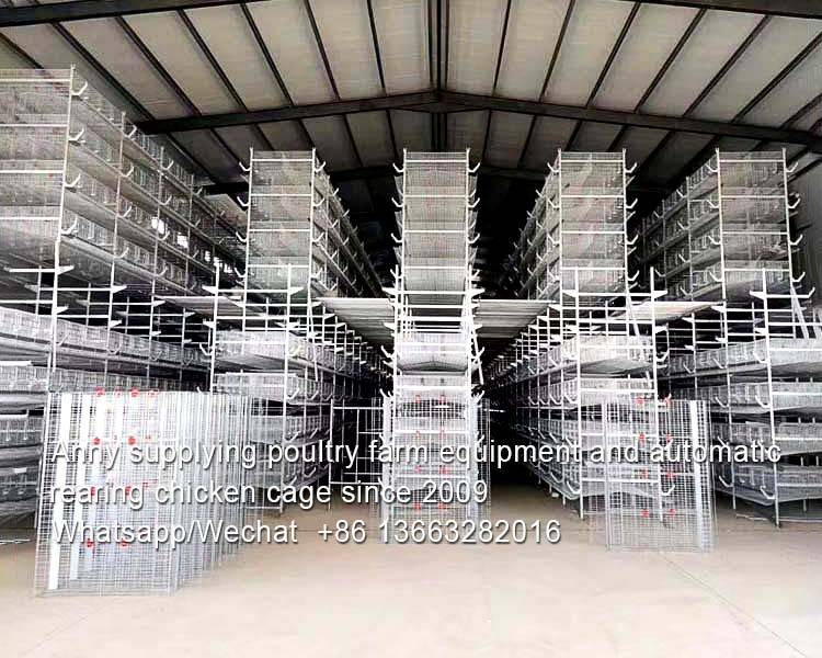 Introduction of battery cage in poultry farm