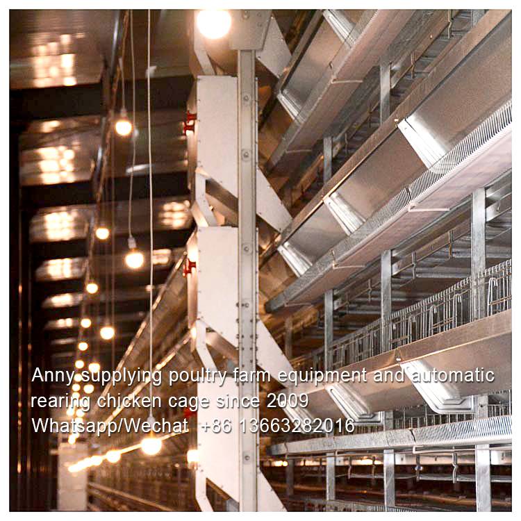 EFFICIENCY OF BATTERY CAGE IN POULTRY PRODUCTION