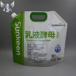 Custom printed 5L 10L detergents spouted packaging
