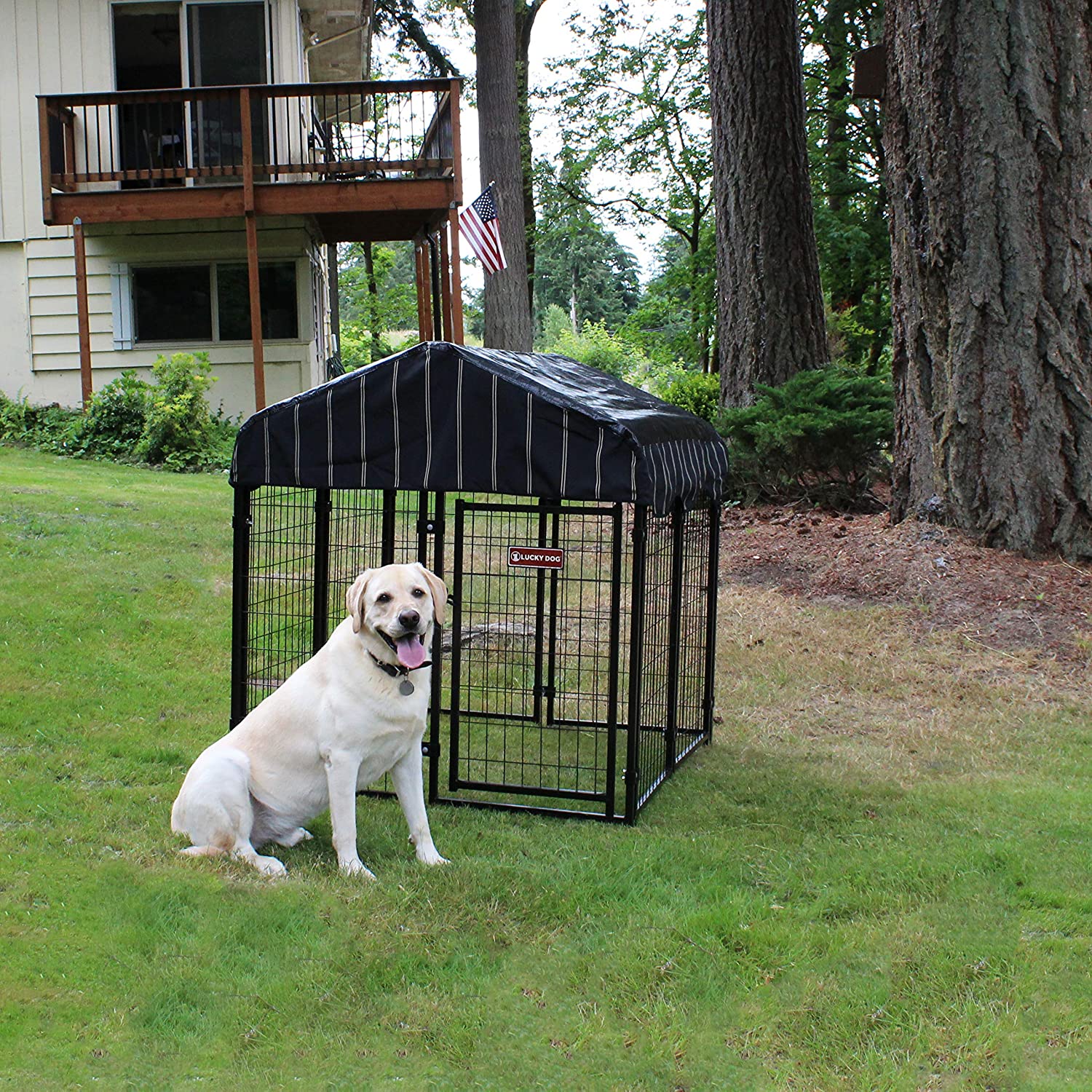 Purchase Basis of Dog Cage/Dog Kennel