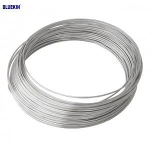 Wholesale Discount Motto Barbed Wire - Spring Steel Wire  – Bluekin