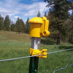 PE Yellow Star Picket Y Fence Post Safety Cap