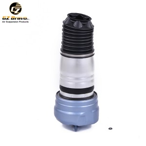 Front With ADS Air Suspension Spring 97034305115 97034305108 97034305215 97034305208 for PorschePanamera