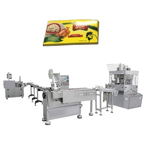 Brightwin Powder Feeding, 10g Chicken Cube Pressing, Wrapping and Box Packing Machine Line For a Customer from Philippines