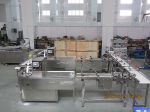 Side seal Wrapping machine