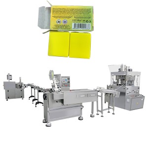 Brightwin Powder Feeding, 10g Chicken Cube Pressing, Wrapping and box packing Machine Line For a Customer From Iraq