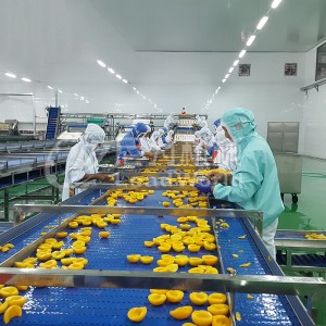 Purkitettu keltainen persikka tuotantolinja