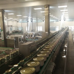 Canned Mushroom Production Line Picture Show
