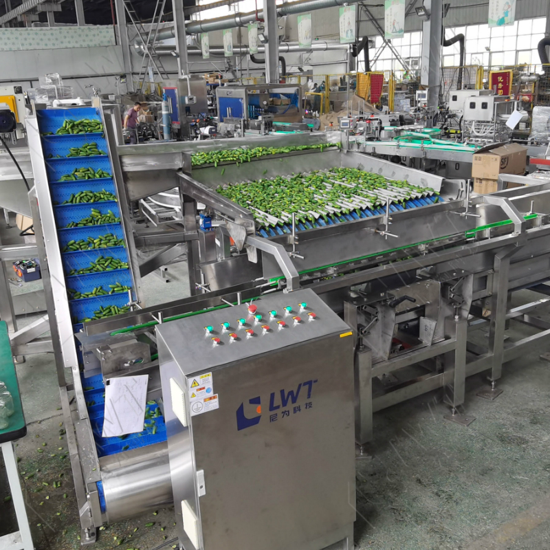 Cucumber Canned Production Line