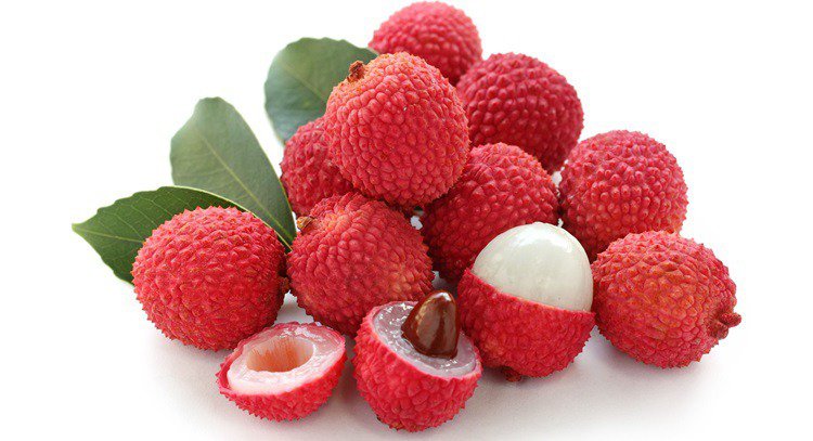 Delicious canned litchi makes it easy for you to realize ” litchi freedom”