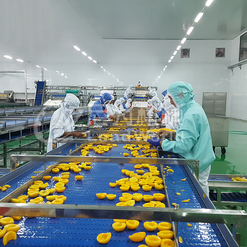 Canned yellow peach production line