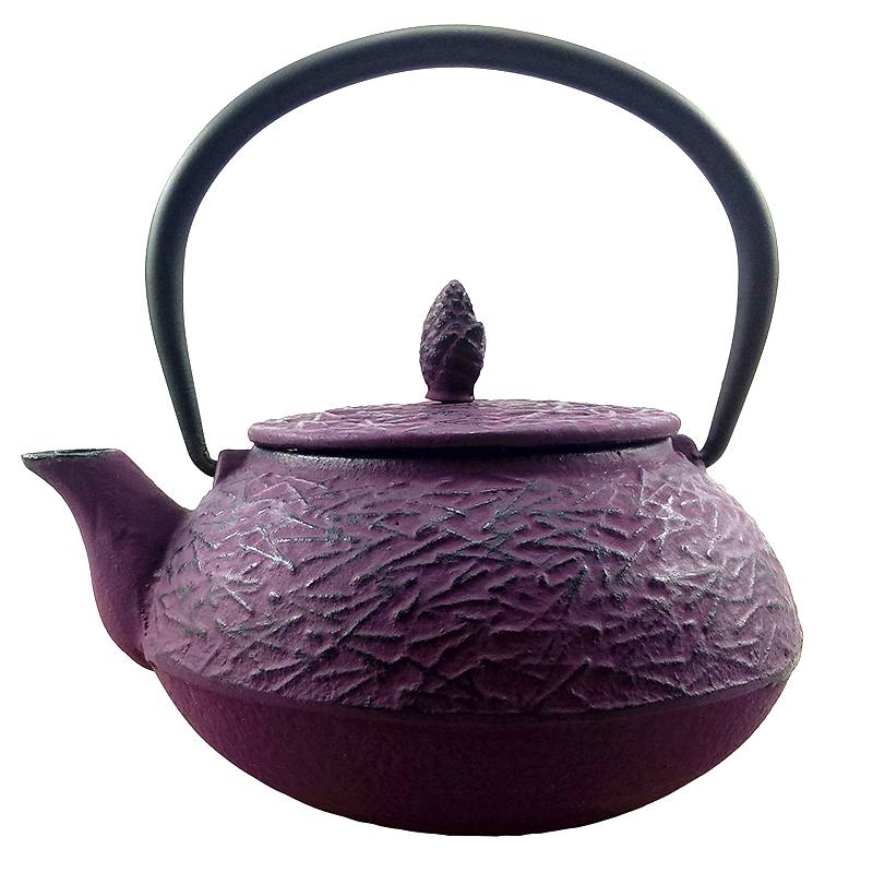 Japanese Cast Iron Tea Pot Black