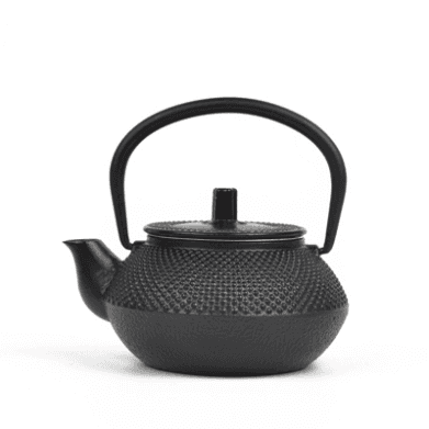 Japanese Cast Iron Teapot Kettle with Stainless Steel Strainer