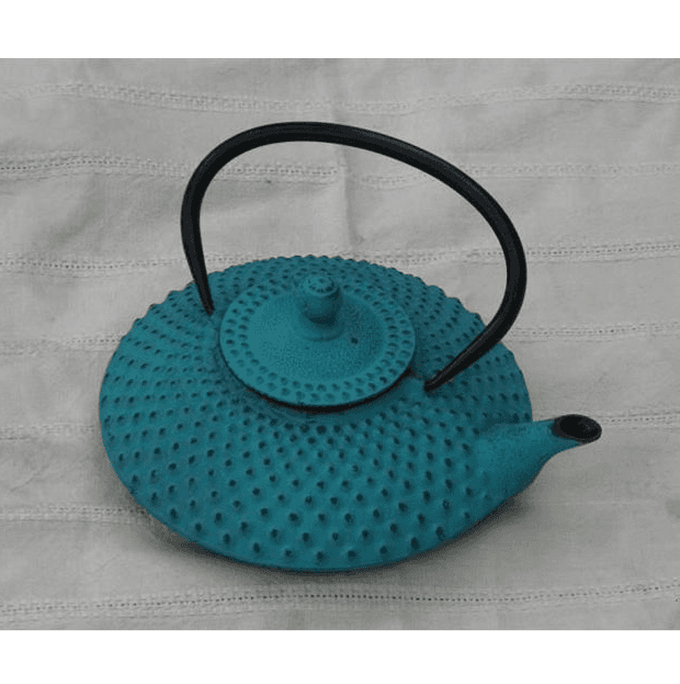 cast iron teapot with infuser