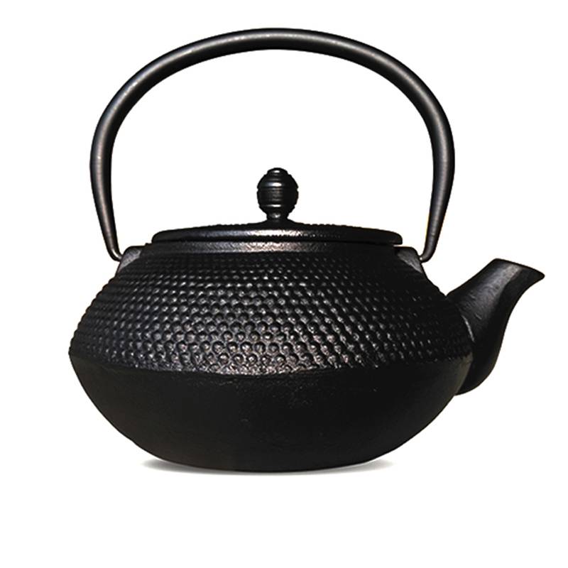 Amazon hot sale cast iron tea pot