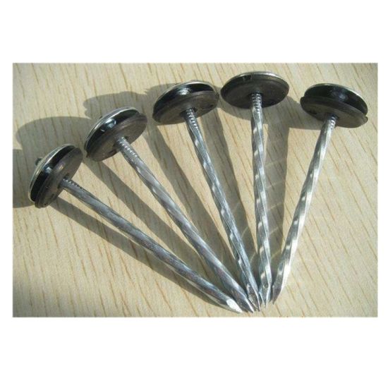 Good Quality Section Steel – High Grade Q195 Material Corrugated Shank Roofing Nails -Geili