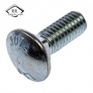 Chinese wholesale China Various Sizes DIN Steel Hex/Flange/ Carriage Bolt