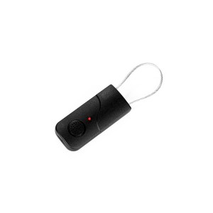 EAS Self Alarm Tag for Bags And Shoes(S02)