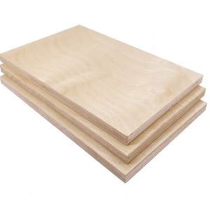 UV coating birch plywood