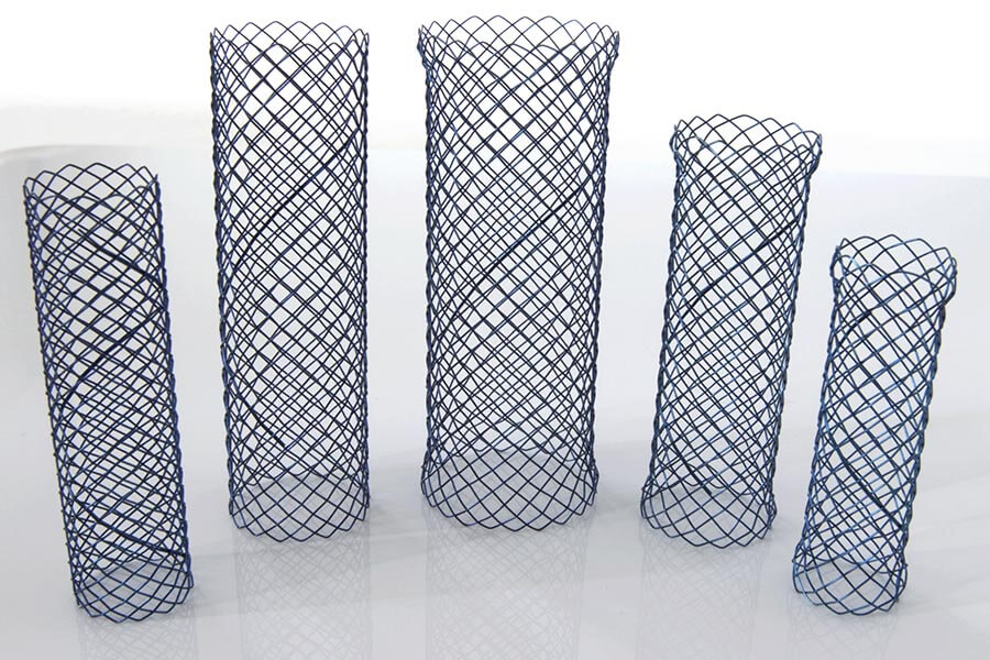 factory Outlets for Disposable Transparent Extract Bags -
 Trachea Bronchus Stent – Chenmao
