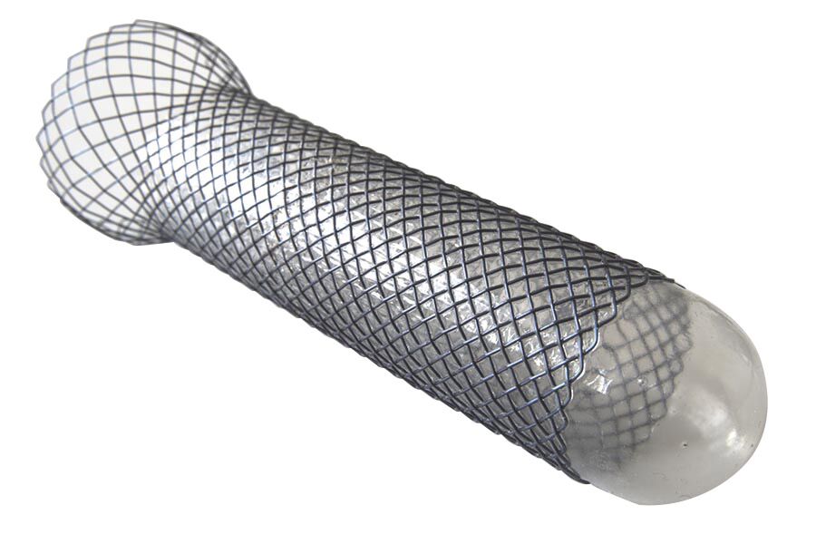 Popular Design for Disposable Endoscopic Stone Extractor - Esophagus Stent – Chenmao detail pictures