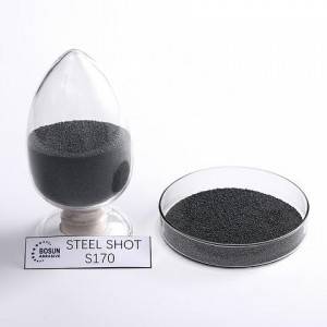 Steel Shot-S170