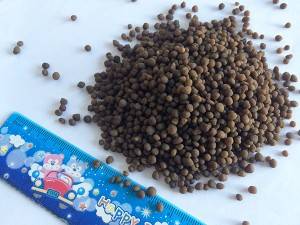 China wholesale Dap 64 Diammonium Phosphate Dark Brown Color - DAP 18-46-00 – Tifton