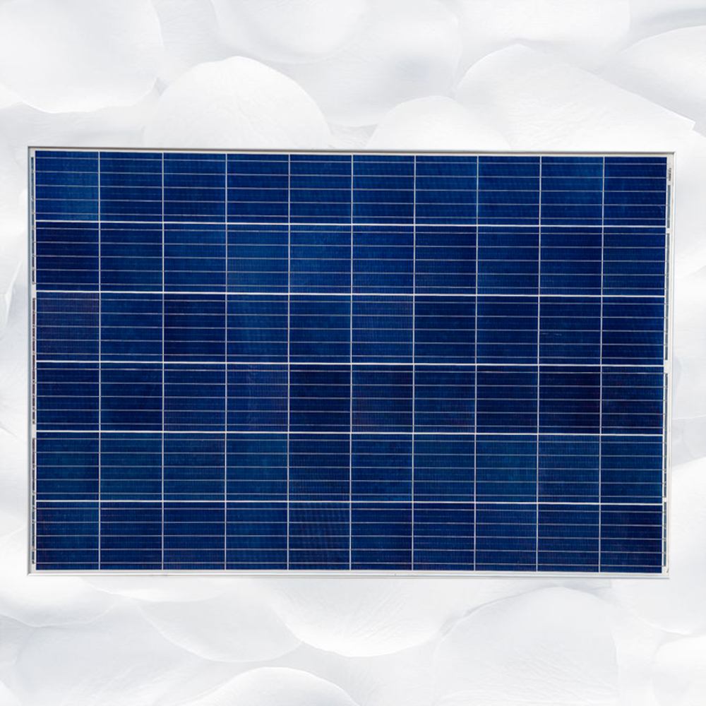Monocrystal Solar panel qineng manufacturer Featured Image