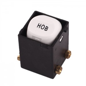 SAA approval push button switch printed HOB 250V 35 amp on off switch mech