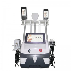 Factory Cheap Hot Body Sculpting Message Machine - 10 inch 360 degree new multifuction portable cryolipolysis  – Sincoheren