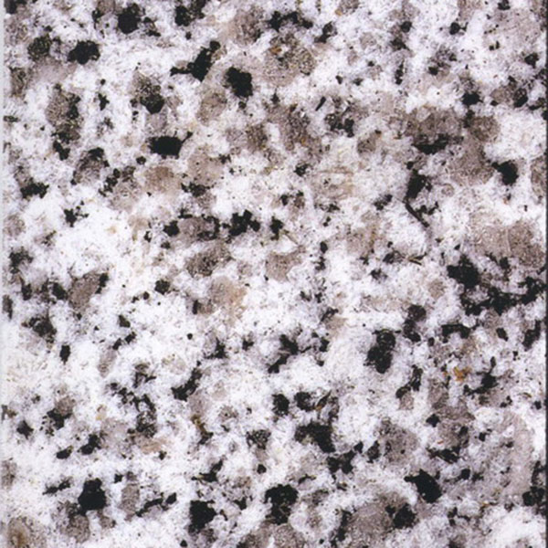 Free sample for Elephant Stone - Granite  White Black Flower G – 640 – ConfidenceStone