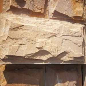 SY005 ਯੈਲੋ sandstone ਮਸ਼ਰੂਮ